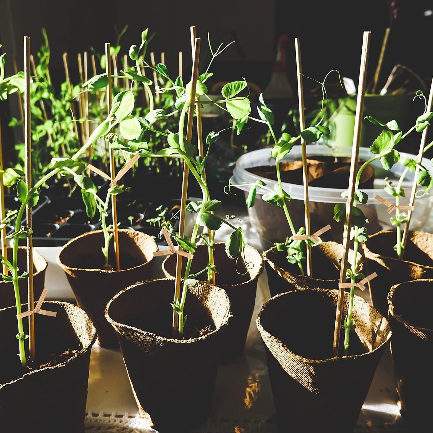 1000 Pcs Twist Ties, Kraft Paper Twist Ties Plant Ties Reusable Bread Ties for Party Cello Candy Coffee Treat Bags Cake Pops (6")-VerdiqueGarden