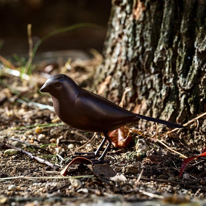 Decorative Small Nostalgia Style Cute Bird Art Iron Sculpture£¬ Figurine Home & Office & Garden Decoration, Rust/Brown (Carolina Wren)-VerdiqueGarden