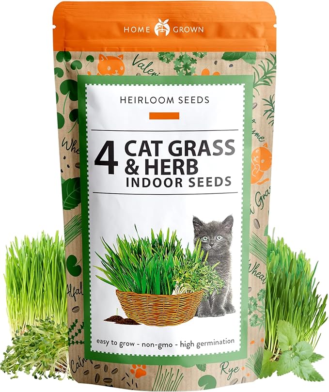 HOME GROWN 3200+ Cat Grass – 𝗡𝗢𝗡-𝗚𝗠𝗢 𝗨𝗦𝗔 Grown Catnip, Alfalfa, Oat, Cat Grass Mix – Indoor Cat Grass Kit Refill – High-Germination Pet Grass for Hairball Relief & Digestion-VerdiqueGarden