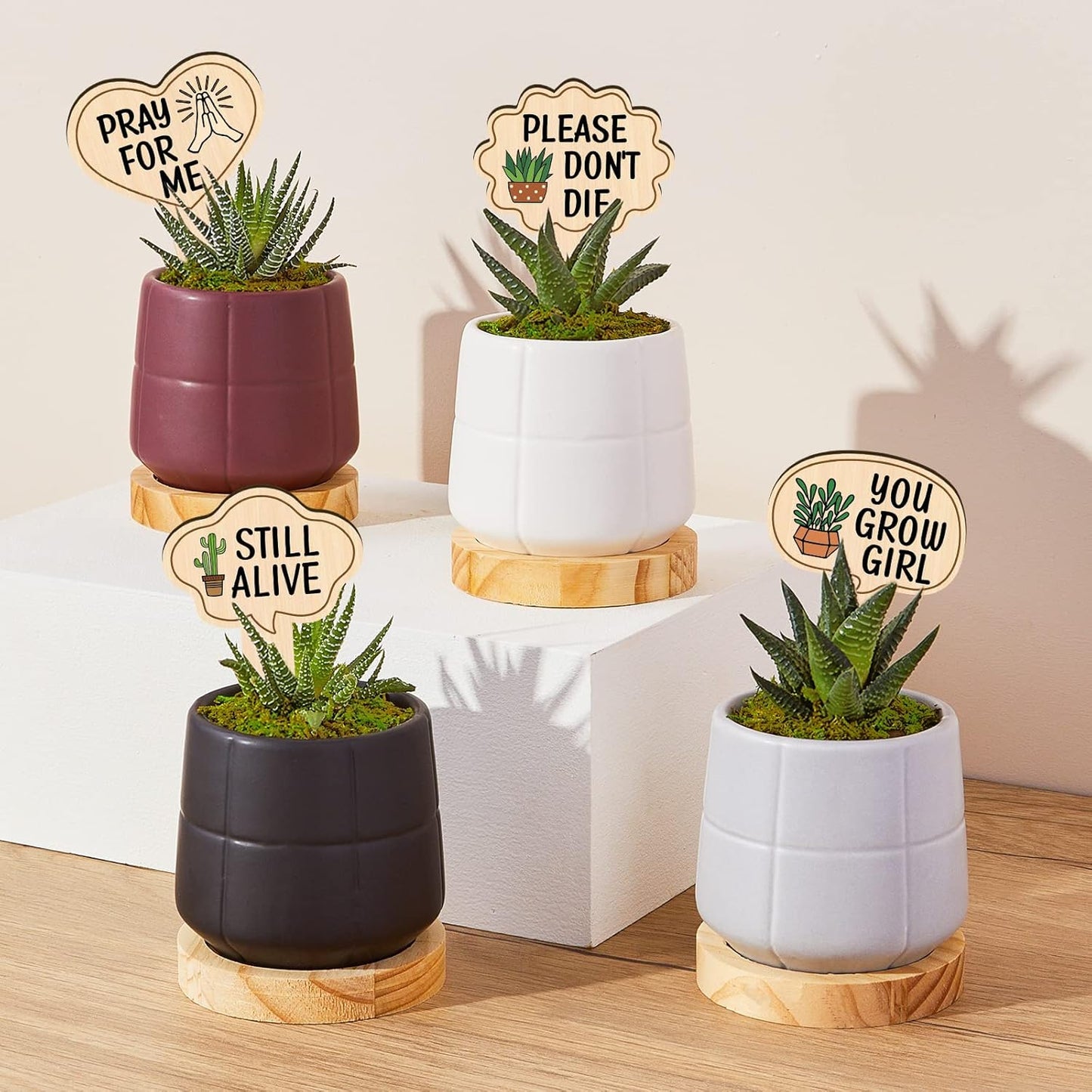 Huray Rayho Funny Wooden Plant Markers for Succulent Flowers Greenery Plants Tags 15-Pack Waterproof Wood Plant Labels Outdoor Indoor Patio Supplies Garden Stakes for Potted Plant Novelty Gifts-VerdiqueGarden