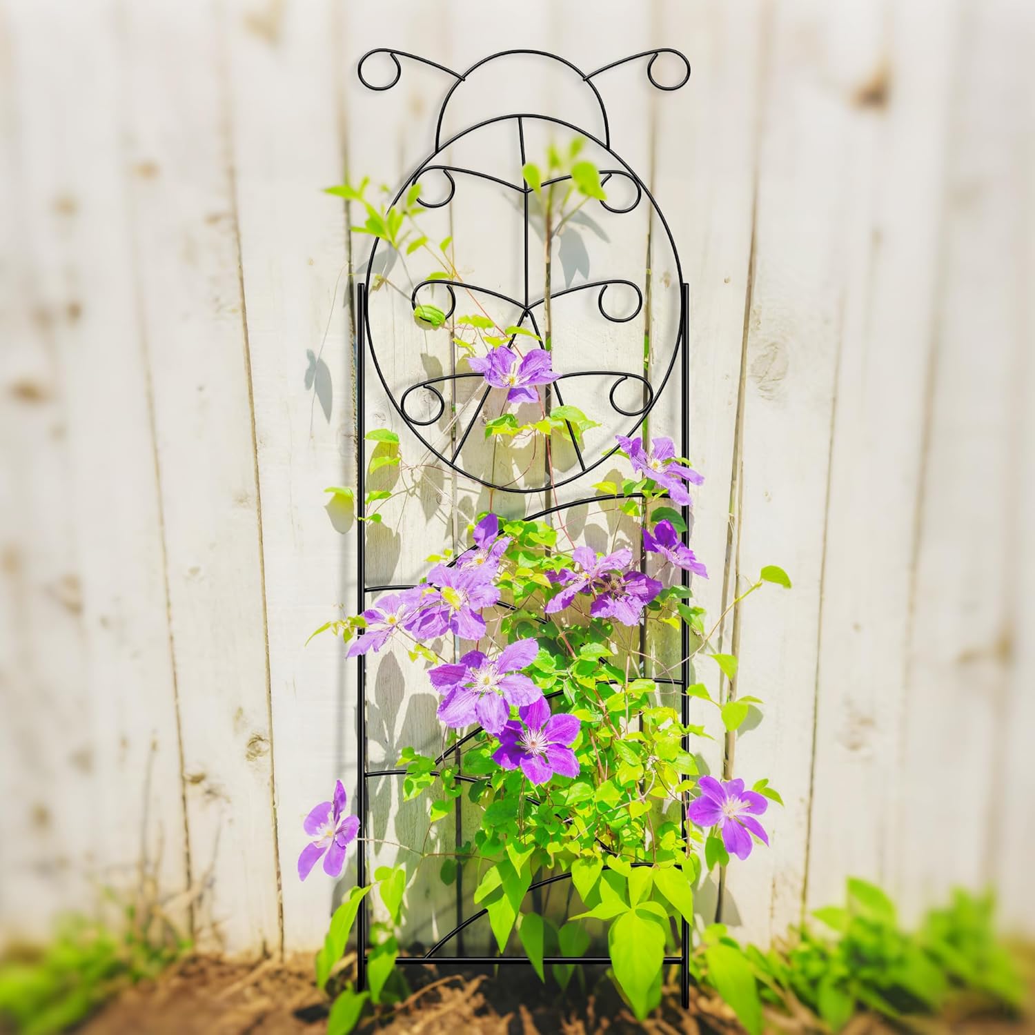 ARIFARO Garden Trellis 56″ H x16″ W (Pack of 4) Metal Climbing Plant Trellis Outdoor/Indoor Sturdy Flower Trellis for Climbing Vines, Rose, Potted Plants-VerdiqueGarden