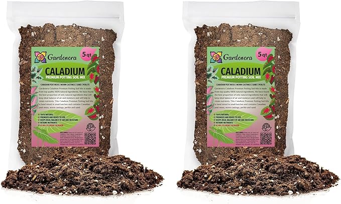 Caladium Plant Potting Soil - All-Natural Blend for Thriving Caladium Plants - Boosts Root Health and Foliage - 10 Quart-VerdiqueGarden