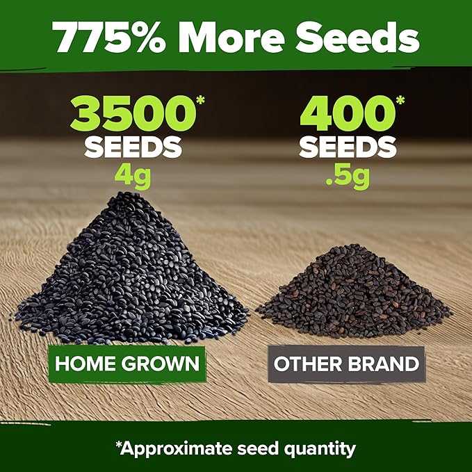 HOME GROWN Genovese Basil Seeds 2 Pack - 3500 𝗡𝗢𝗡-𝗚𝗠𝗢 𝗨𝗦𝗔 Heirloom Basil Seeds for Planting (Ocimum basilicum) - Herb Seeds for Indoor & Outdoor Gardening - Grow for Culinary Use-VerdiqueGarden