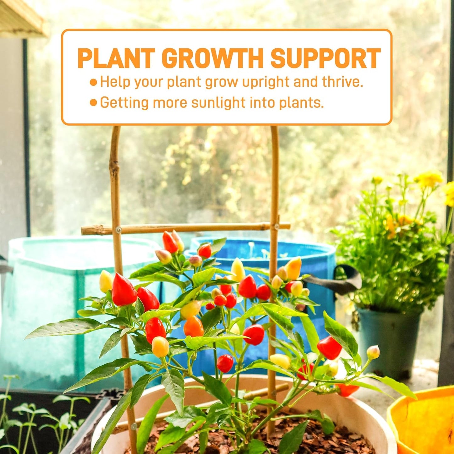 Avalution 10 Pack Bamboo U Trellis for Climbing Plants, 2ft Garden Ladder Trellis for Potted Plants Indoor, Ladder Small Plant Support Trellis for Houseplants Ivy Hoya Vine Monstera-VerdiqueGarden