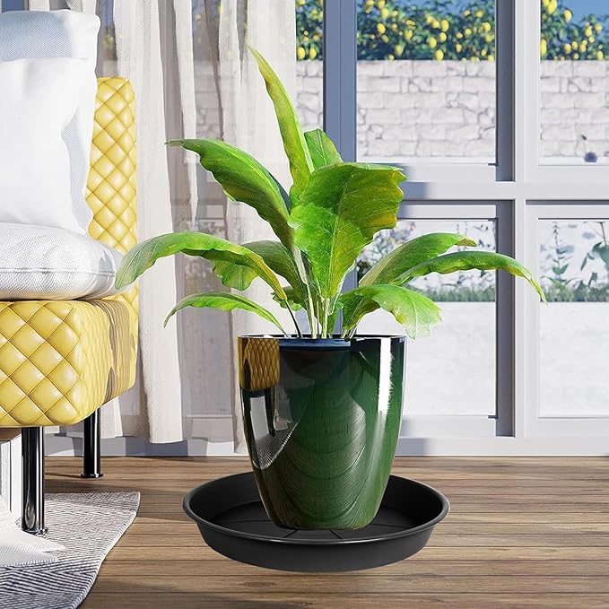 1 Pack of Plant Saucer Tray 8 inch, Heavy Duty Plastic Pot Plant Drip Trays Saucers for for Indoors Outdoor, Plant Water Tray for Planters (8", Black)-VerdiqueGarden