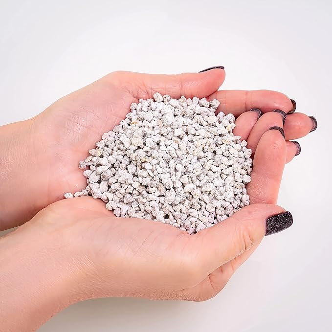 Organic Perlite - Medium/Fine Grade (4 Quart Bag) Horticultural Soil Amendment for Indoor & Outdoor Container Plants for Drainage Management and Enhanced Growth-VerdiqueGarden