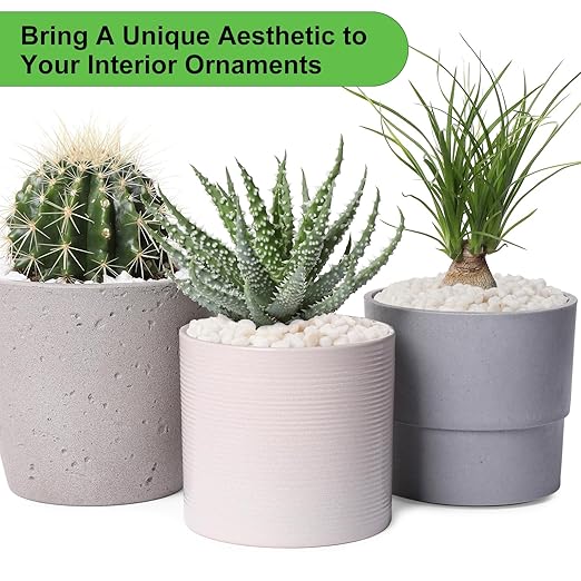 10 lbs White Garden Pebbles for Plants, 3/8" Small Plant Rocks for Pots Indoor, Decorative Pea Gravel for Succulents, Bamboo, Terrarium, Landscaping, Garden-VerdiqueGarden