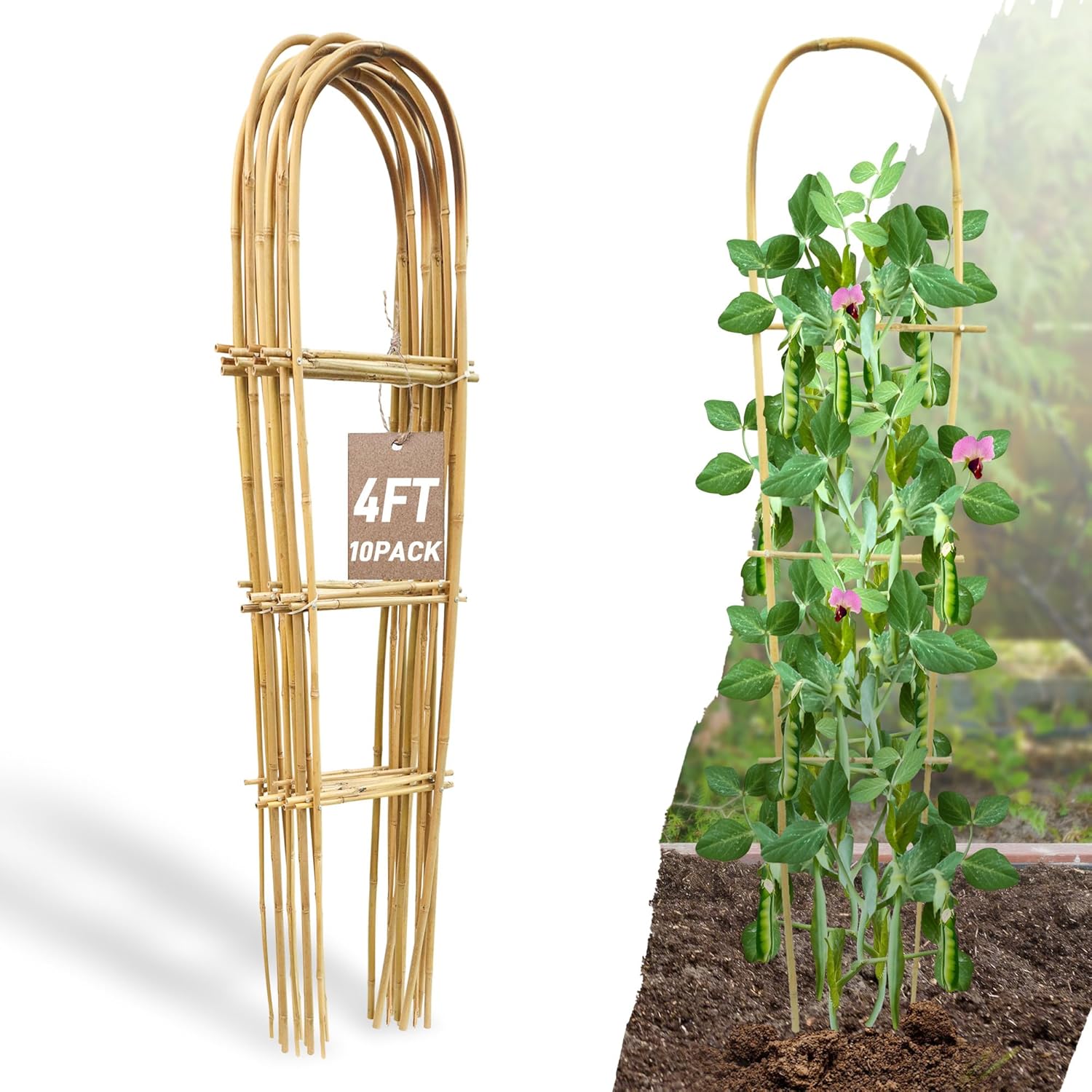 Avalution 10 Pack Bamboo U Trellis for Climbing Plants, 4 FT Garden Ladder Trellis for Potted Plants Indoor, Ladder Small Plant Support Trellis for Houseplants Ivy Hoya Vine Monstera-VerdiqueGarden