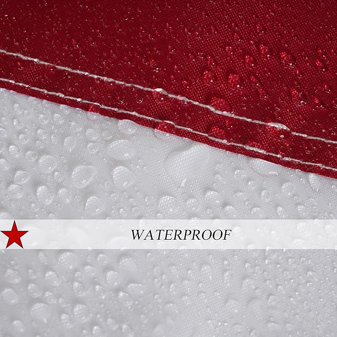 Homissor American Flag 8x12 Outdoor Heavy Duty - Embroidered Star Large USA 8x12 Ft Flags - Longest Lasting US Made from Nylon Sewn Stripes Indoor With 4 Brass Grommets-VerdiqueGarden