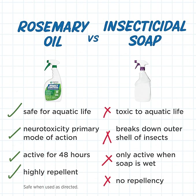 Earth's Ally Insect Control for Plants Ready-to-Use 24 oz | Safe Outdoor & Indoor Plant Insecticide, Spider Mite, Aphid & Mealybug Killer - Effective Spray for Organic Garden & Household Plants-VerdiqueGarden