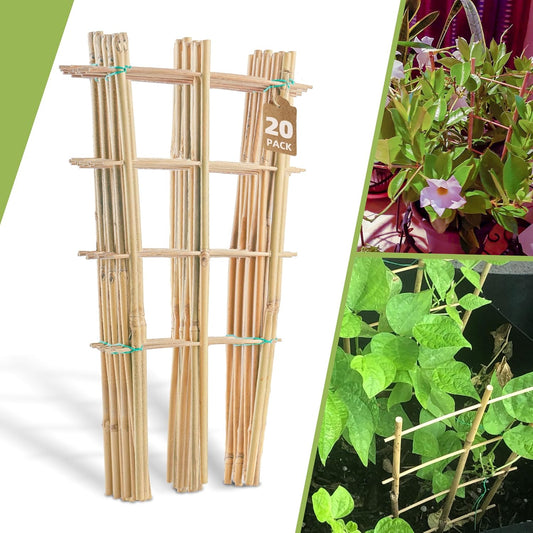 20 Pack 16" Bamboo Trellis for Climbing Plants-Natural Garden Ladder Fan -Shaped Plants Support Trellis for Potted Plant Decor in Door-VerdiqueGarden