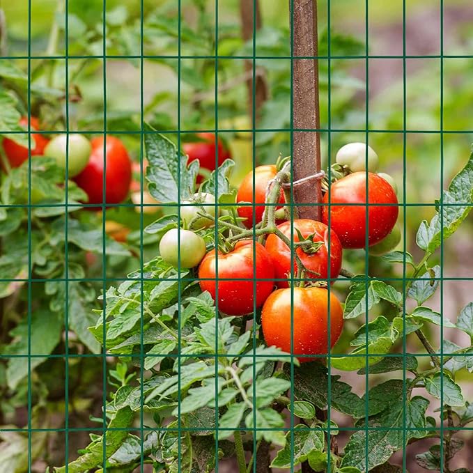 Green PVC Coated Welded Wire Fence 48 Inch x 50 Foot, 2 Inch x 4 Inch 14GA, Garden Border Fencing Roll Vinyl Coating Metal Wire Mesh Hardware Cloth for Yard Vegetable Plant Protection-VerdiqueGarden