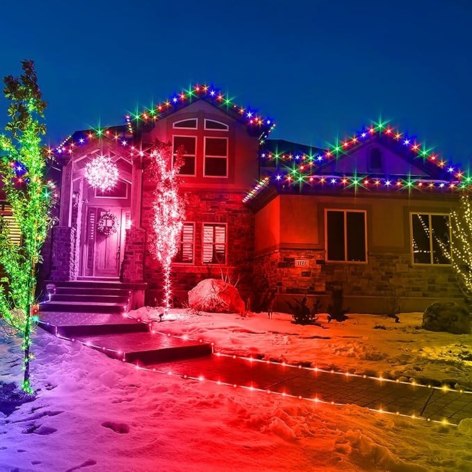 LED Rope Lights Outdoor, 100Ft 300 LED Multicolor String Lights Indoor with Remote, 8 Modes Waterproof Fairy Lights for Outside Garden Patio Party Wedding Christmas Decoration-VerdiqueGarden