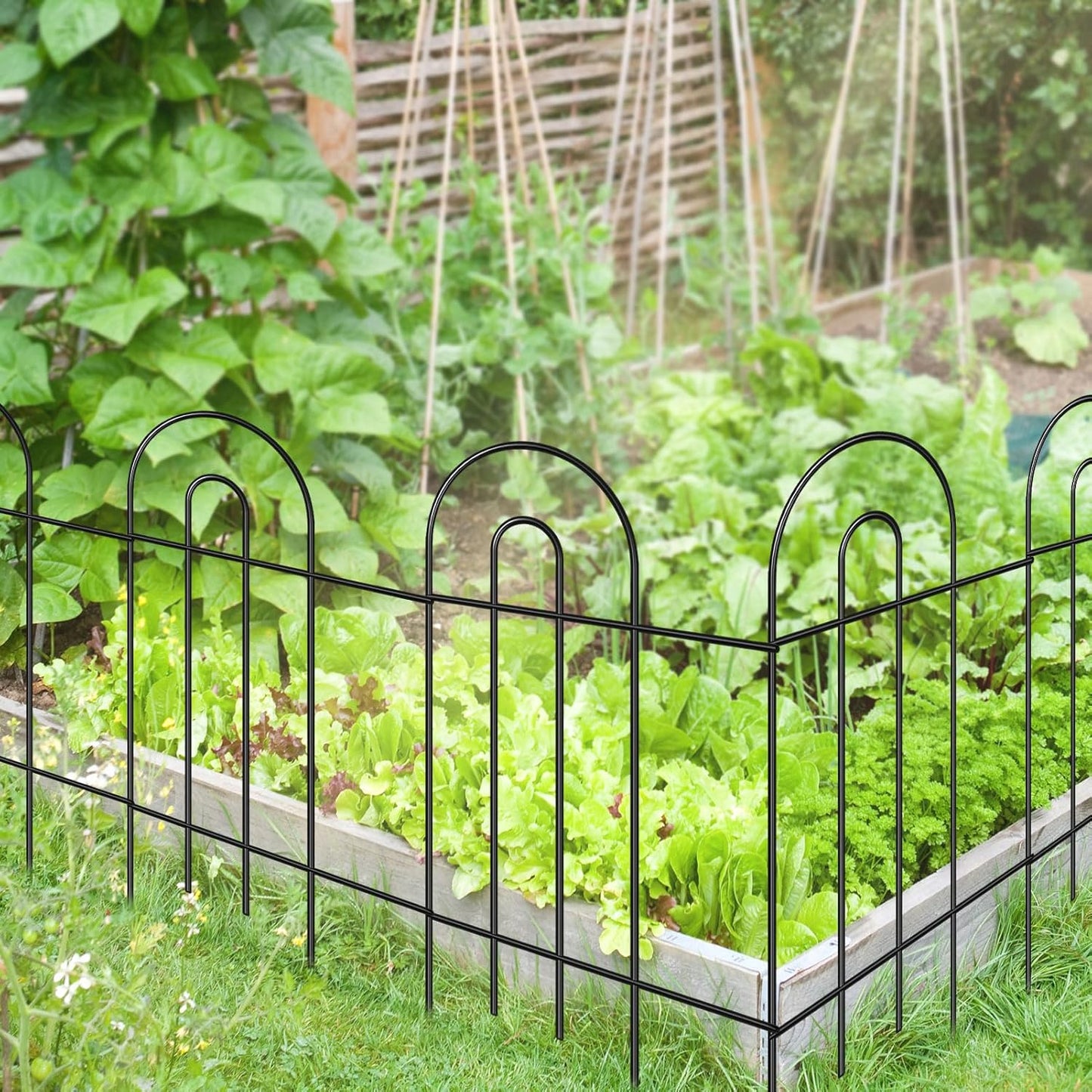 Garden Fence Border 32inX20ft Black Metal Wire Garden Fencing Panel Outdoor Folding Decorative Fences Flower Lawn Edging for Landscape Patio Yard-VerdiqueGarden