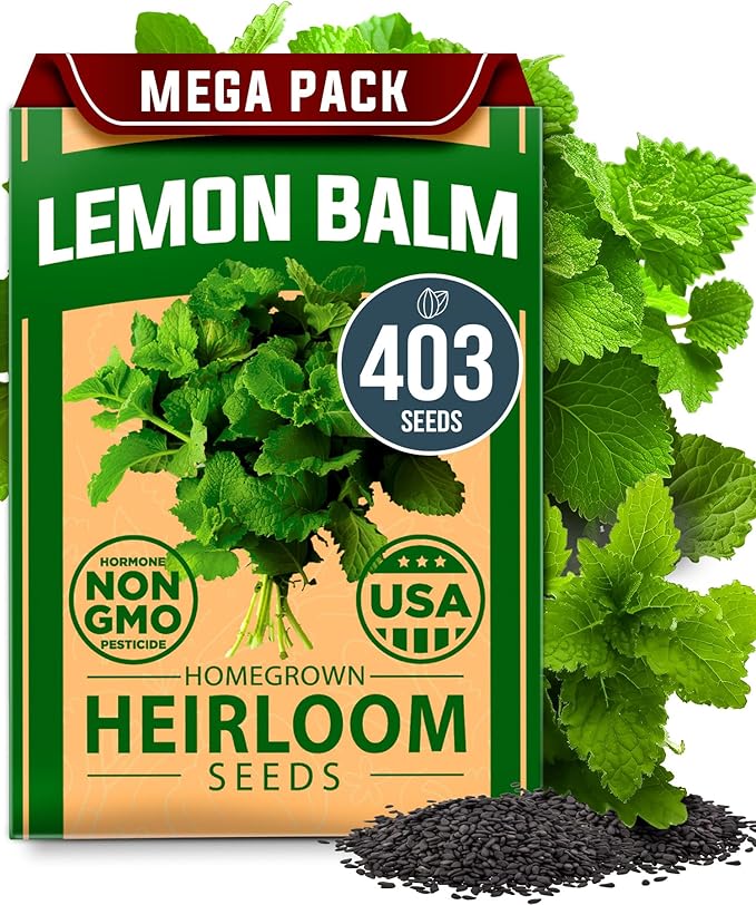 HOME GROWN 𝗨𝗦𝗔 𝗣𝗥𝗘𝗠𝗜𝗨𝗠 Lemon Balm Seed Pack - 403 Non-GMO USA Heirloom Herbal Tea Seeds - Bulk Lemon Balm Seeds for Planting Gardens Indoors or Outdoors - Herb Seeds (Melissa officinalis)-VerdiqueGarden