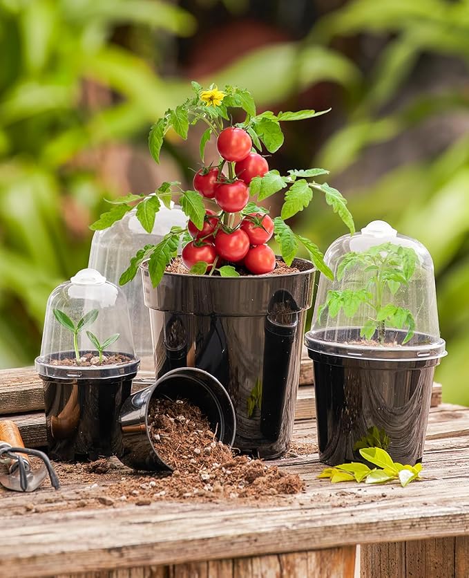 homenote Nursery Pots for Plants,3/4/5 Inch Plant Pot for Planting with Humidity Domes Plastic Seedling with Drainage Holes Seed Starter Flower with 10 Labels Black (15 Pack)-VerdiqueGarden