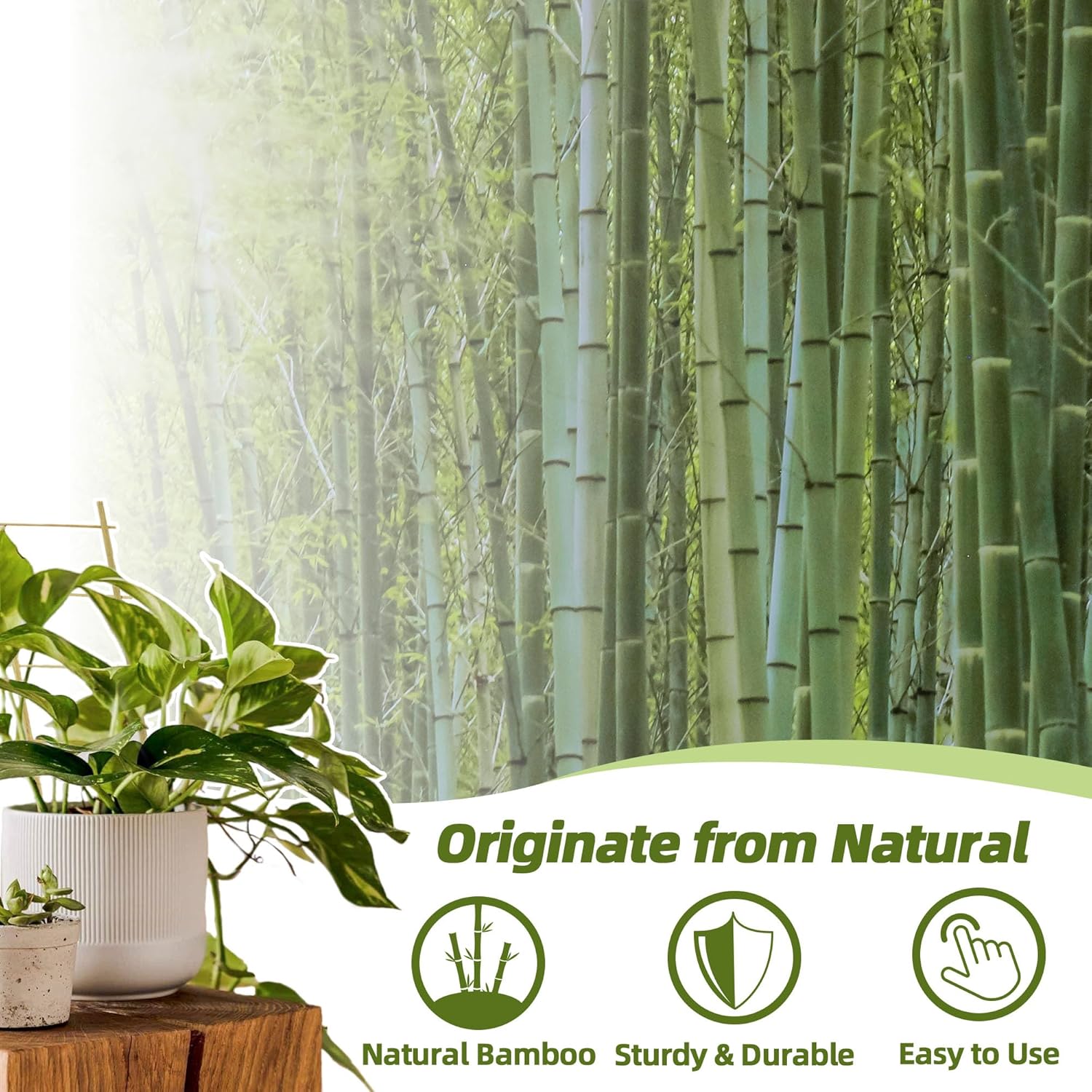 Avalution 5 Pack Bamboo Trellis for Climbing Plants Indoor, 16 Inch Garden Ladder Trellis for Potted Plants, Fan-Shaped Small Plant Support Trellis for Houseplants Ivy Hoya Vine Monstera-VerdiqueGarden