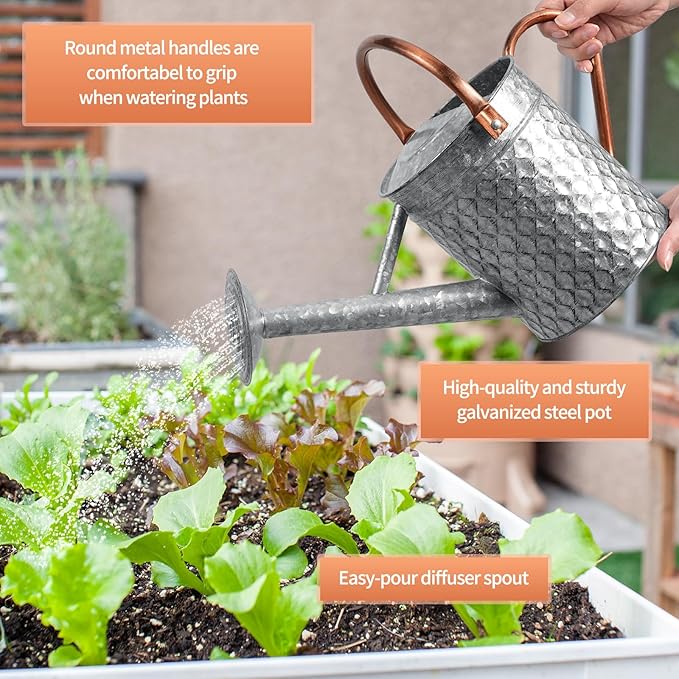1 Gallon Metal Watering Can for Outdoor Indoor Plants, Galvanized Watering Can with Removable Spray Spout, Ideal for Garden Watering-VerdiqueGarden