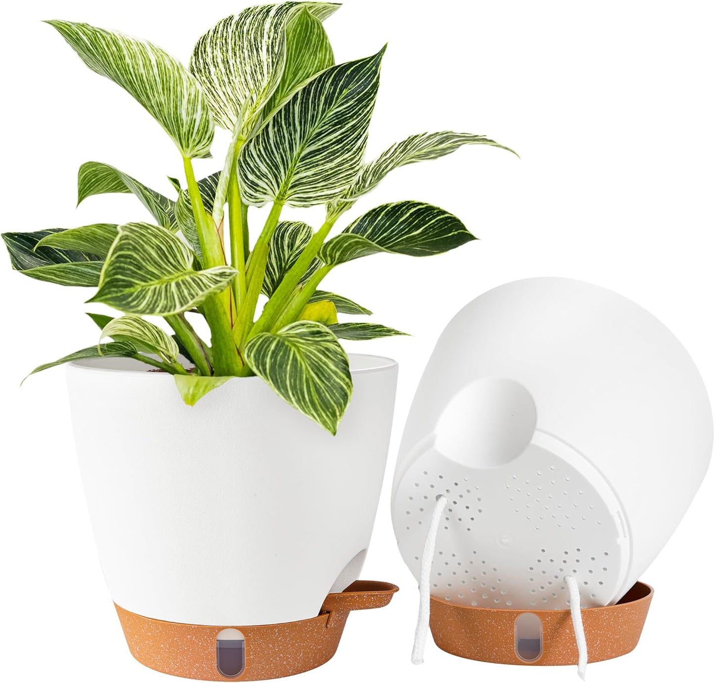 2 Pack 8 Inch Pots for Plants Indoor, Plastic Self Watering Planters with Drainage Holes, Water Level Indicator & Deep Reservoir, Decorative Flower Pots Indoor Outdoor Use (White-VerdiqueGarden