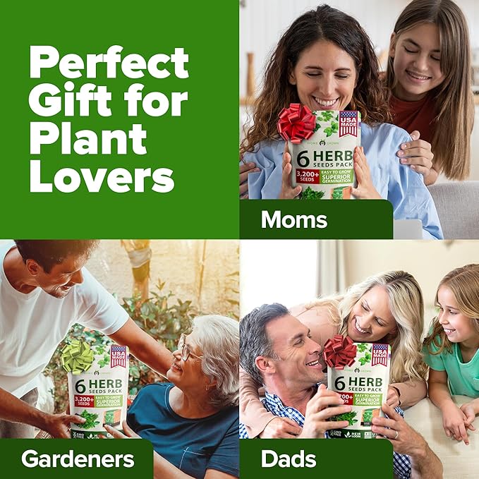 HOME GROWN 6 Herb Seeds for Planting 3,200+ Non-GMO Heirloom Seeds | Extra Large Variety Pack Herb Kit – Indoor Outdoor & Hydroponic | Culinary Seed Set | Grow Your Own Herbs | Gift for Beginners-VerdiqueGarden