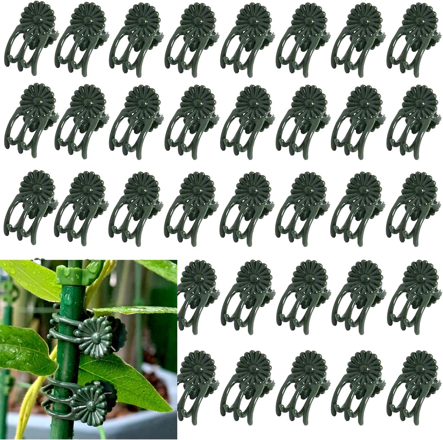 100Pcs Large Plant Clip,Daisy Garden Flower Plant Clip,for Orchids Vine Clip Support Stem Vine Upright Growth (Green)-VerdiqueGarden
