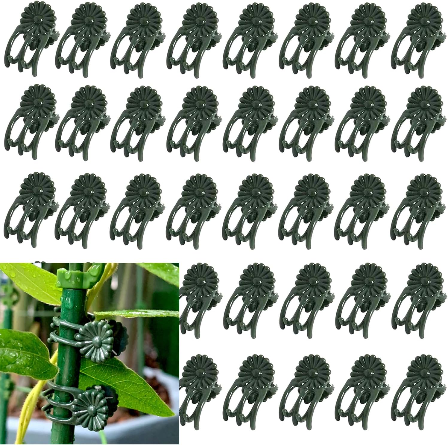 100Pcs Small - Middle Plant Clip,Daisy Garden Flower Plant Clip,for Orchids Vine Clip Support Stem Vine Upright Growth (Green)-VerdiqueGarden