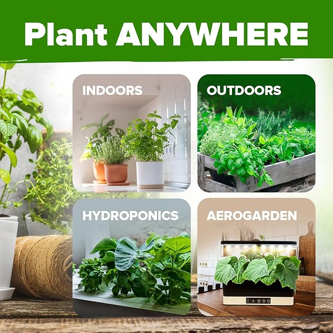 HOME GROWN 30 Herb Seeds for Planting 9,500+ Non-GMO Heirloom Seeds | Extra Large Variety Pack Herb Kit – Indoor Outdoor & Hydroponic | Culinary Seed Set | Grow Your Own Herbs | Gardening Gift-VerdiqueGarden