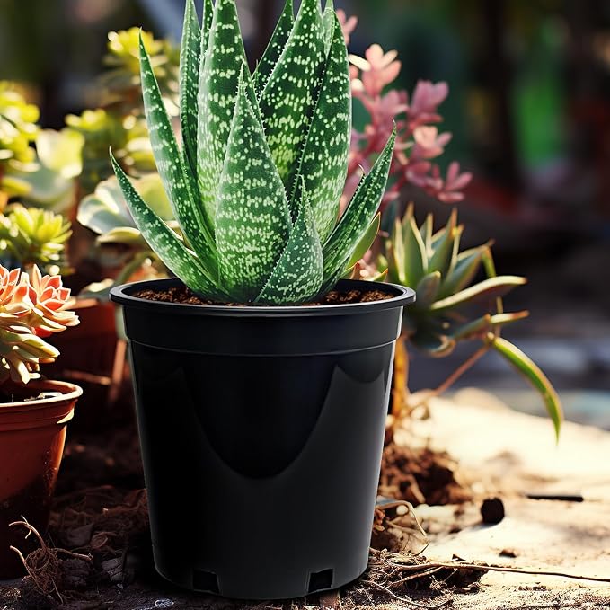 1.5 Gallon Plastic Nursery Pots, 7.5 Inch Round Plant Pots with Drainage Holes, 15 Pack Flower Pots for Outdoor Indoor Plants, Flowers, Black-VerdiqueGarden