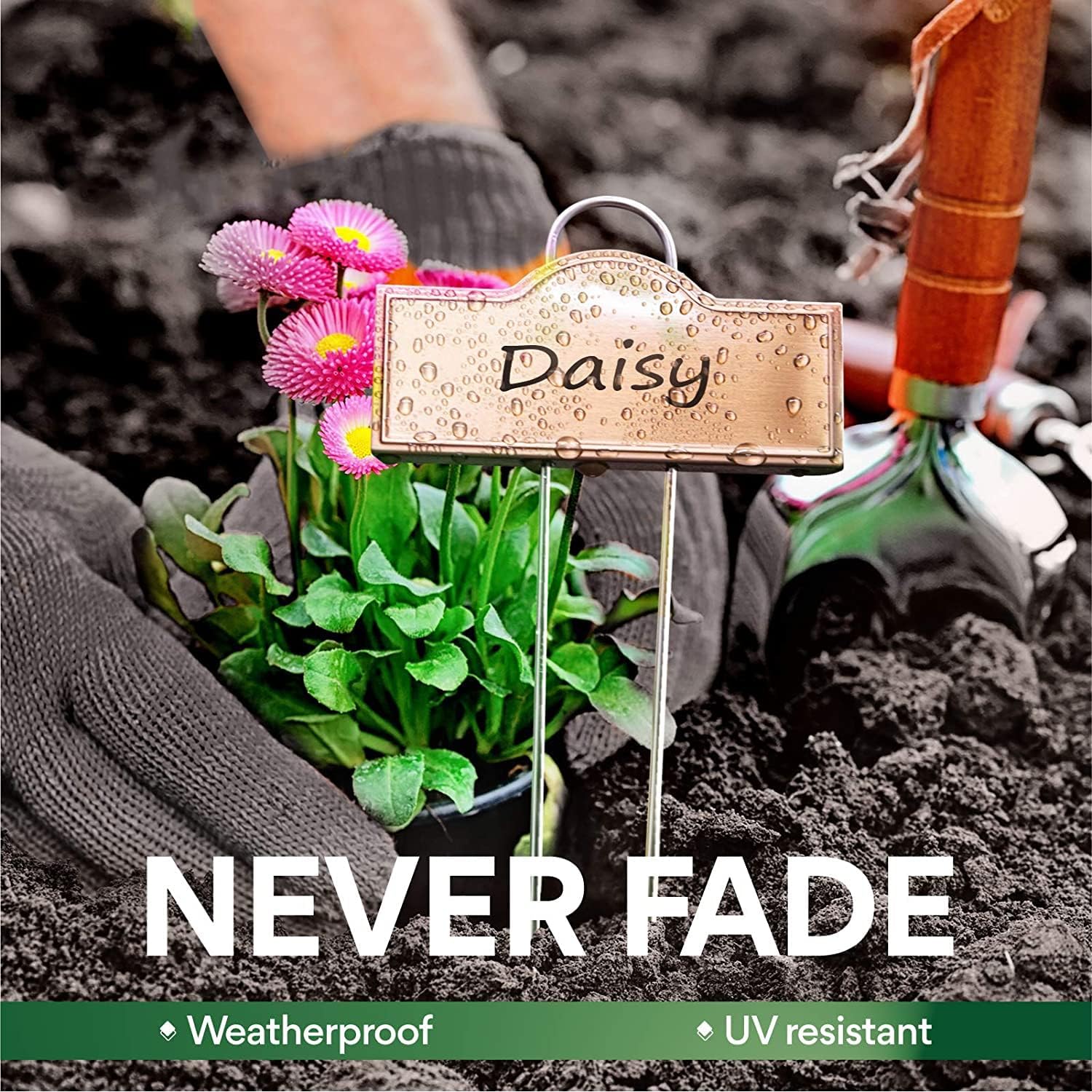 Stainless Steel 304 Plant Labels Weatherproof, Metal Garden Label Tall Markers 25 Pack for Plants Vegetables Herb Seedlings Flowers with 2 Pens, Height 10.75 Inch, Label Area 3.74'' x 1.39''-VerdiqueGarden