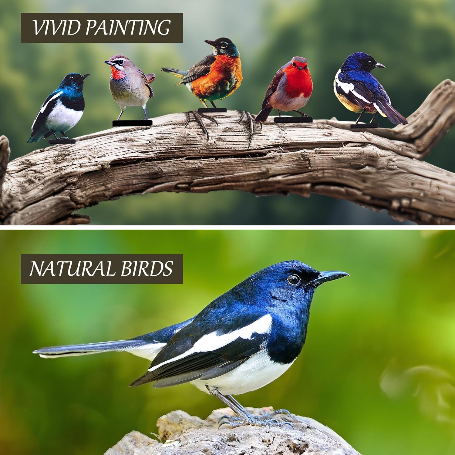 HUYIENO 5PCS Vivid Metal Birds Fence Decor Color Painted Outdoor Garden Natural Bird 2D Sculptures for Outdoor Fences, Patio, Garden and Bird Lovers-VerdiqueGarden