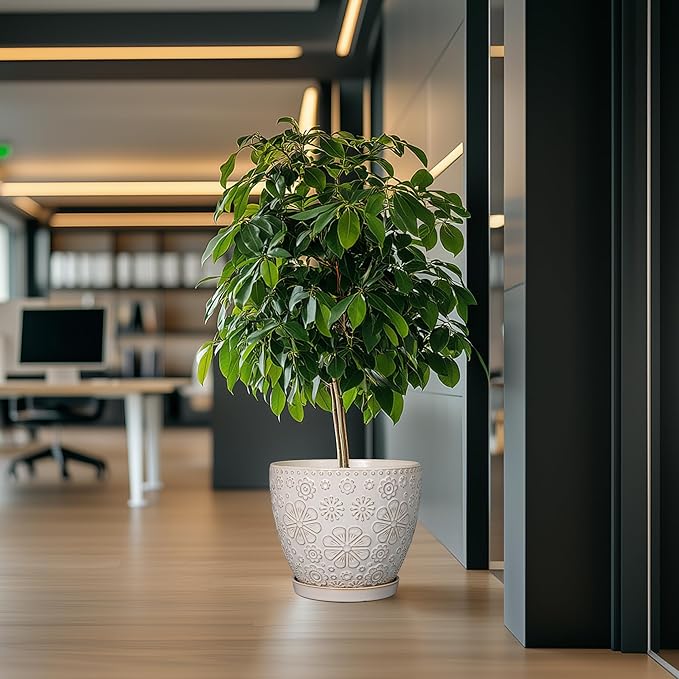 10 Inch Ceramic Planter Pot Large Plant Pot for Indoor Plants Outdoor Round Flower Pot with Drainage Hole and Saucer for Home Garden Decor White-VerdiqueGarden