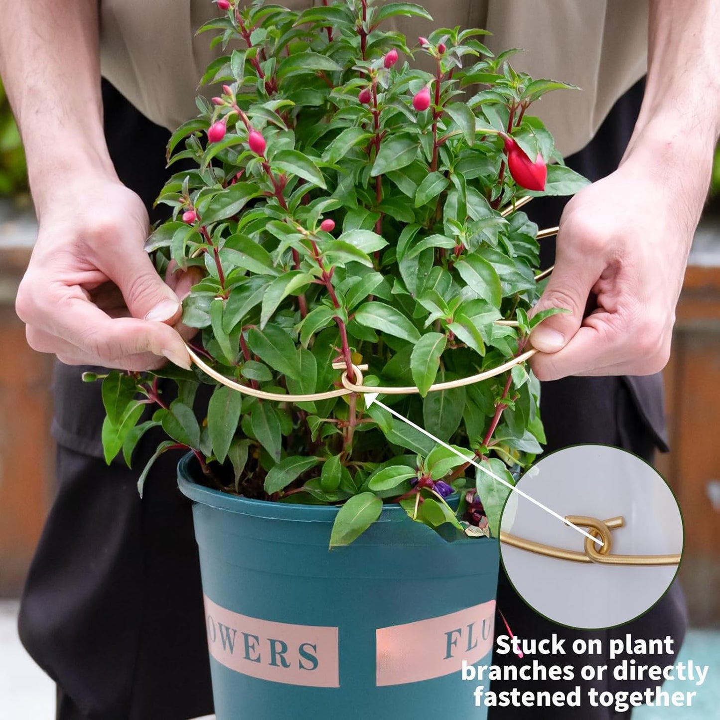 Monstera Plant Support Stem Stabilizer 9 * 7.6 inches- Durable Leaf Holder & Adjustable Stake for Fishbone Cactus, Easy to Install Garden Tool for Optimal Growth in Indoor Plants-VerdiqueGarden