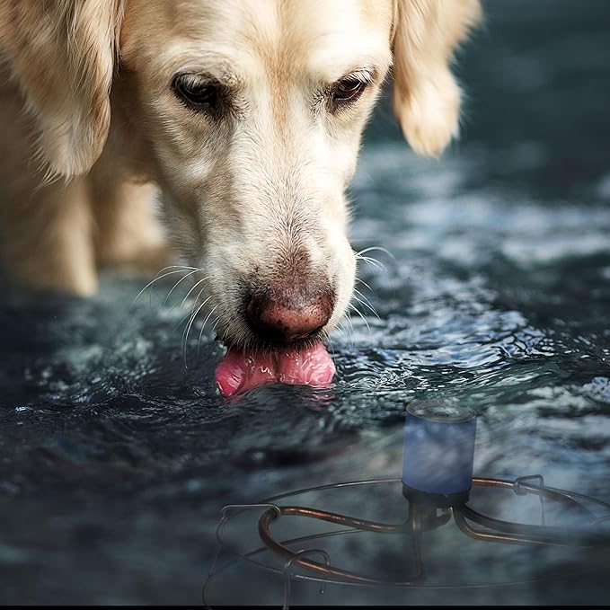 Farm Innovators 1500 Watt Cast Aluminum Submergible Water Tank Deicer, with Self Regulating Thermostat and Anti Chew Cord Protector, 2 Pack-VerdiqueGarden