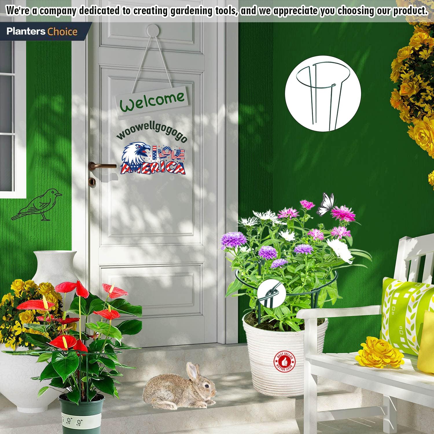 6-Pack Snake Plant Support Stakes, Half-Round Peony Cages and Supports, Green Plant Support Ring - Sturdy and Durable for Indoor and Outdoor Potted Plants, Such as Amaryllis, Peony, Hydrangea-VerdiqueGarden