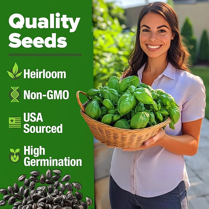 HOME GROWN Genovese Basil Seeds 2 Pack - 3500 𝗡𝗢𝗡-𝗚𝗠𝗢 𝗨𝗦𝗔 Heirloom Basil Seeds for Planting (Ocimum basilicum) - Herb Seeds for Indoor & Outdoor Gardening - Grow for Culinary Use-VerdiqueGarden
