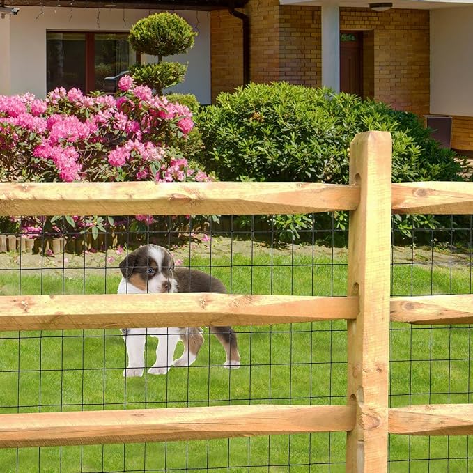 Black PVC Coated Welded Wire Fence 36 Inch x 50 Foot, 2 Inch x 3 Inch 16GA, Garden Border Fencing Roll Vinyl Coating Metal Wire Mesh for Yard Vegetable Plant Protection Poultry Netting-VerdiqueGarden