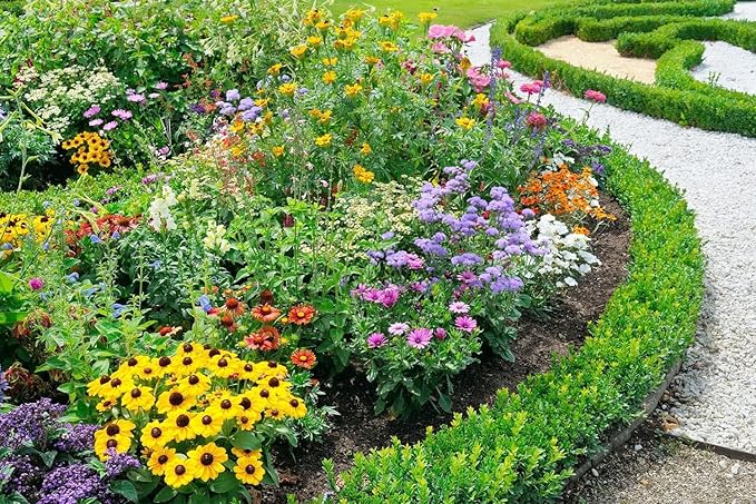 10000+ Perennial Mix Wildflower Seeds 16 Assorted Varieties of Heirloom Flower -1oz Zinnia Poppy Crimson Clover Milkweed Lupine Marigold Mexican Hat Sage Nasturtium-VerdiqueGarden