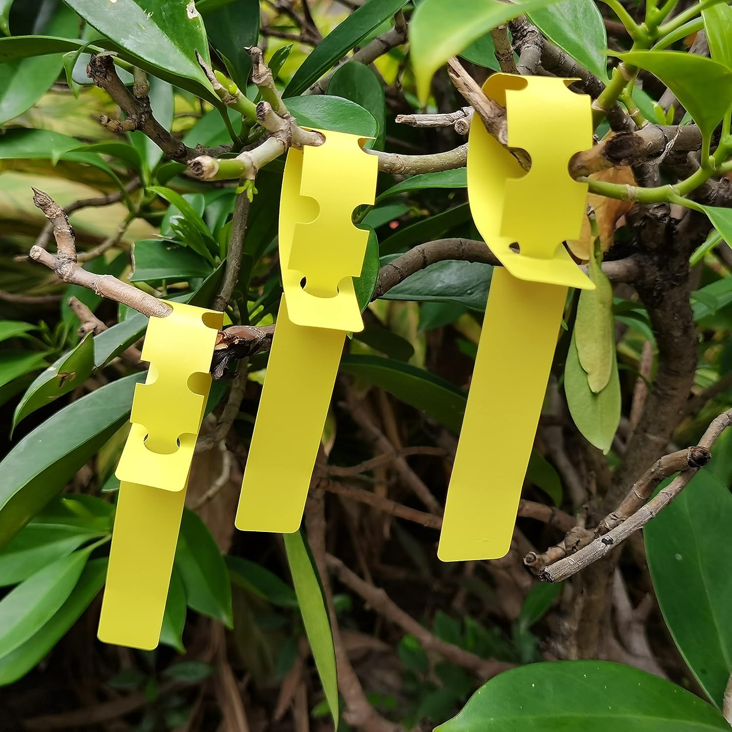 200 Pcs Yellow Plastic Plant Tags with a Marker Pen, Wrap Around Hanging Tree Tags Nursery Garden Labels Waterproof Nursery Garden Stakes, 2x20cm-VerdiqueGarden