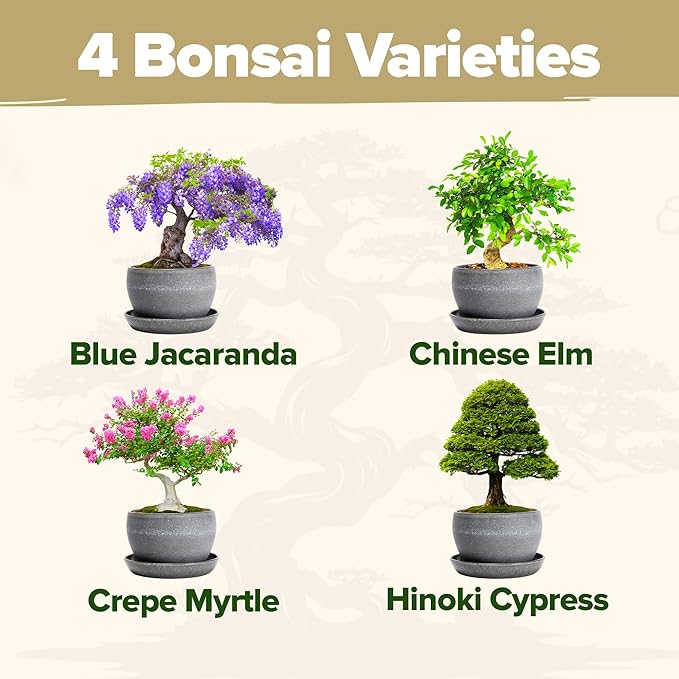 HOME GROWN Bonsai Tree Kit – Easy to Grow 4 Species of Bonsai w/Our Complete Plant Kit: Bonsai Pots & Peat Pellets Including a Bonus in-Depth Grow Guide - Great Gardening Gifts for Women and Men-VerdiqueGarden