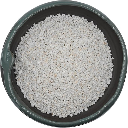 10QT Horticultural Perlite Bulk, Organic Perlite for Plants, Course Perlite for Gardening, for Plants Indoor, for Houseplants, to Promotes Soil Root Growth, and Water Drainage and Plant Growth(3-6mm)-VerdiqueGarden
