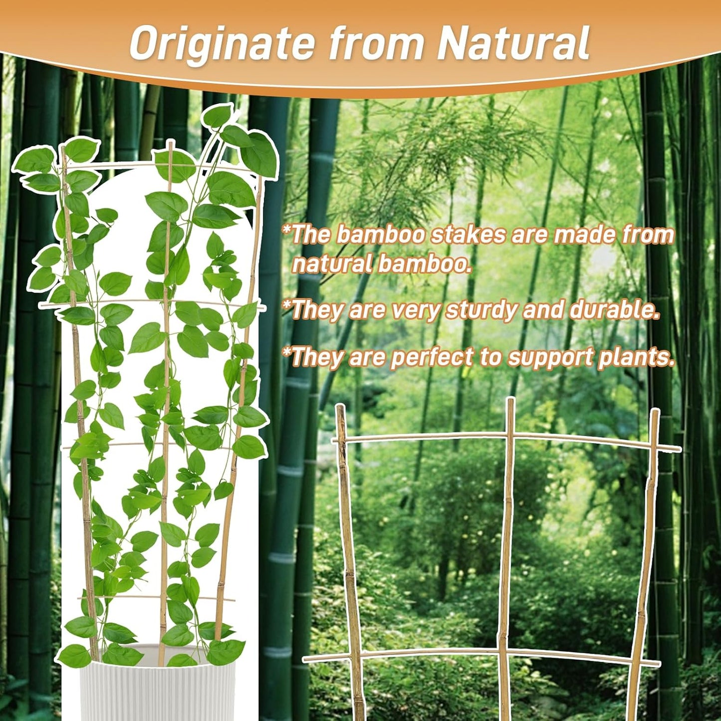 10 Pack 4ft Bamboo Trellis for Climbing Plants-Natural Garden Ladder Trellis, Fan -Shaped Support Trellis for Potted Plant Decor in Door-VerdiqueGarden