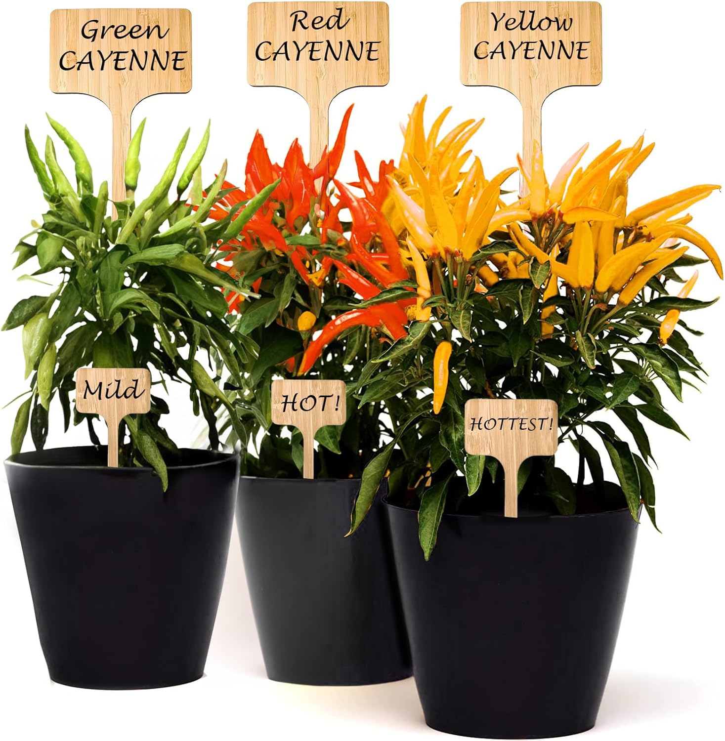 100 Pack 4.5 Inch Tall Plant Labels Garden Markers Plant Name Tags for Flowers, Herbs, Vegatables, Seeds, Bulbs Easy to See Writing Area with Full Size Marker-VerdiqueGarden