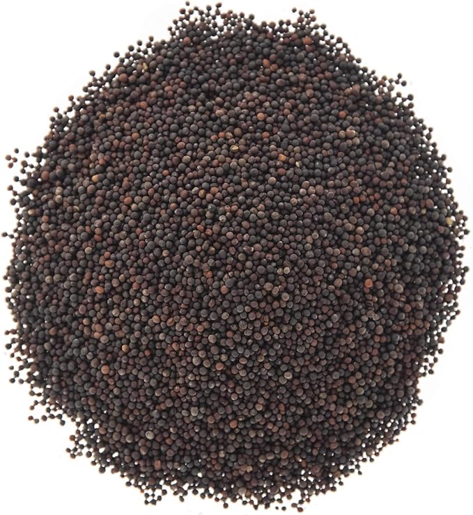 Broccoli Seeds for Sprouting & Microgreens | Waltham 29 Variety | Non GMO & Heirloom Seeds | Bulk 1 LB (16 oz) Resealable Bag | Rainbow Heirloom Seed Co.-VerdiqueGarden