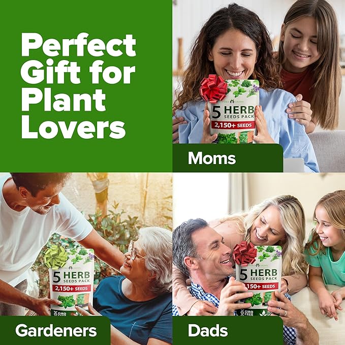 HOME GROWN 5 Herb Seeds for Planting 2,150+ Non-GMO Heirloom Seeds | Extra Large Variety Pack Herb Kit – Indoor Outdoor & Hydroponic | Culinary Seed Set | Grow Your Own Herbs | Gift for Beginners-VerdiqueGarden