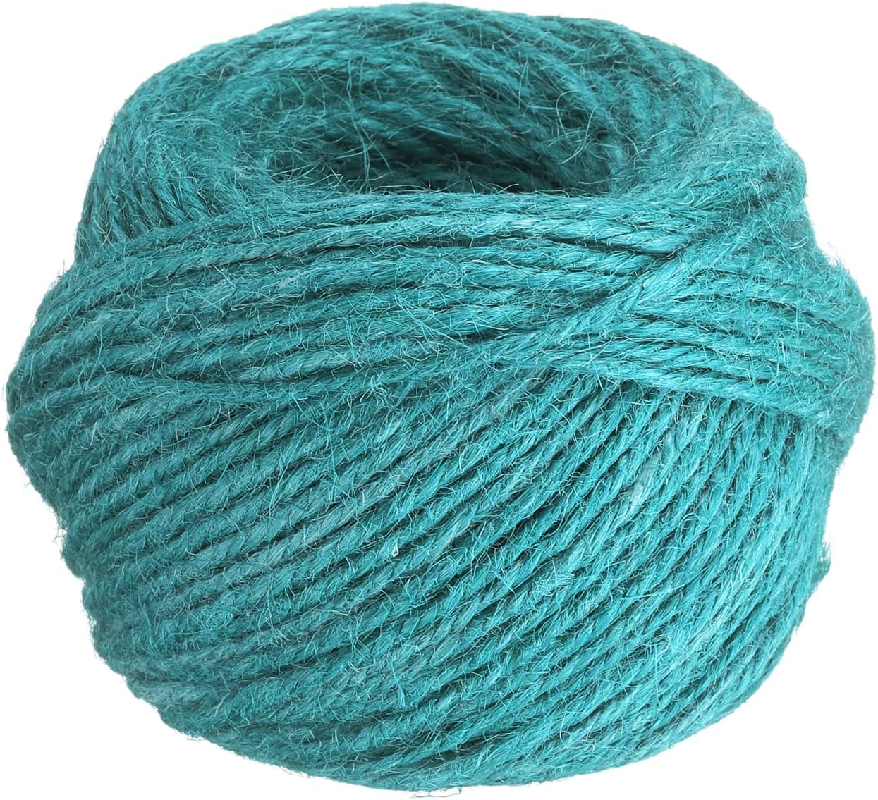 uxcell 164 Feet Natural Jute Twine String,2mm Thin Garden Twine Rope Colored Plant String Cord for DIY Art Crafts Gift Wrapping Decoration Packing Gardening Plant Hanger,Bright Blue-VerdiqueGarden