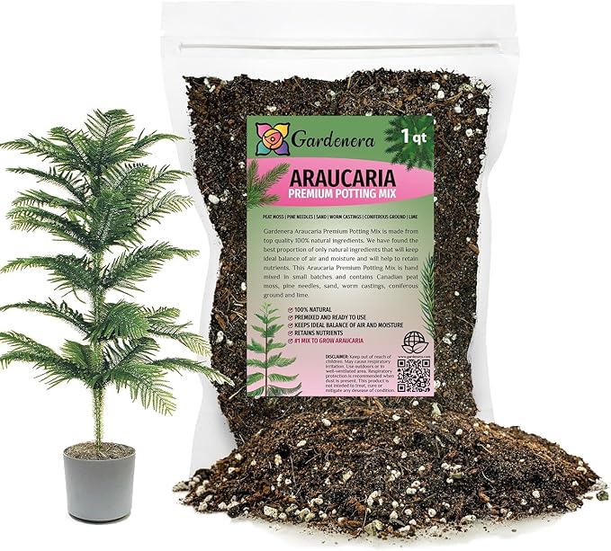 Premium Araucaria Potting Soil Mix - Perfect Balance of Nutrients, Drainage, and Aeration for Healthy Araucaria Trees - 1 Quart-VerdiqueGarden
