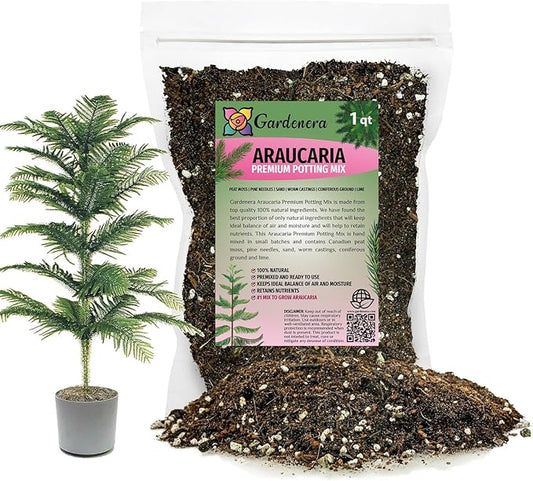 Premium Araucaria Potting Soil Mix - Perfect Balance of Nutrients, Drainage, and Aeration for Healthy Araucaria Trees - 1 Quart-VerdiqueGarden