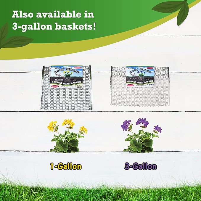 Digger’s 1-Gallon Heavy-Duty Wire Basket - Gopher Wire Basket for Perennials & Vegetables (12 Baskets)-VerdiqueGarden