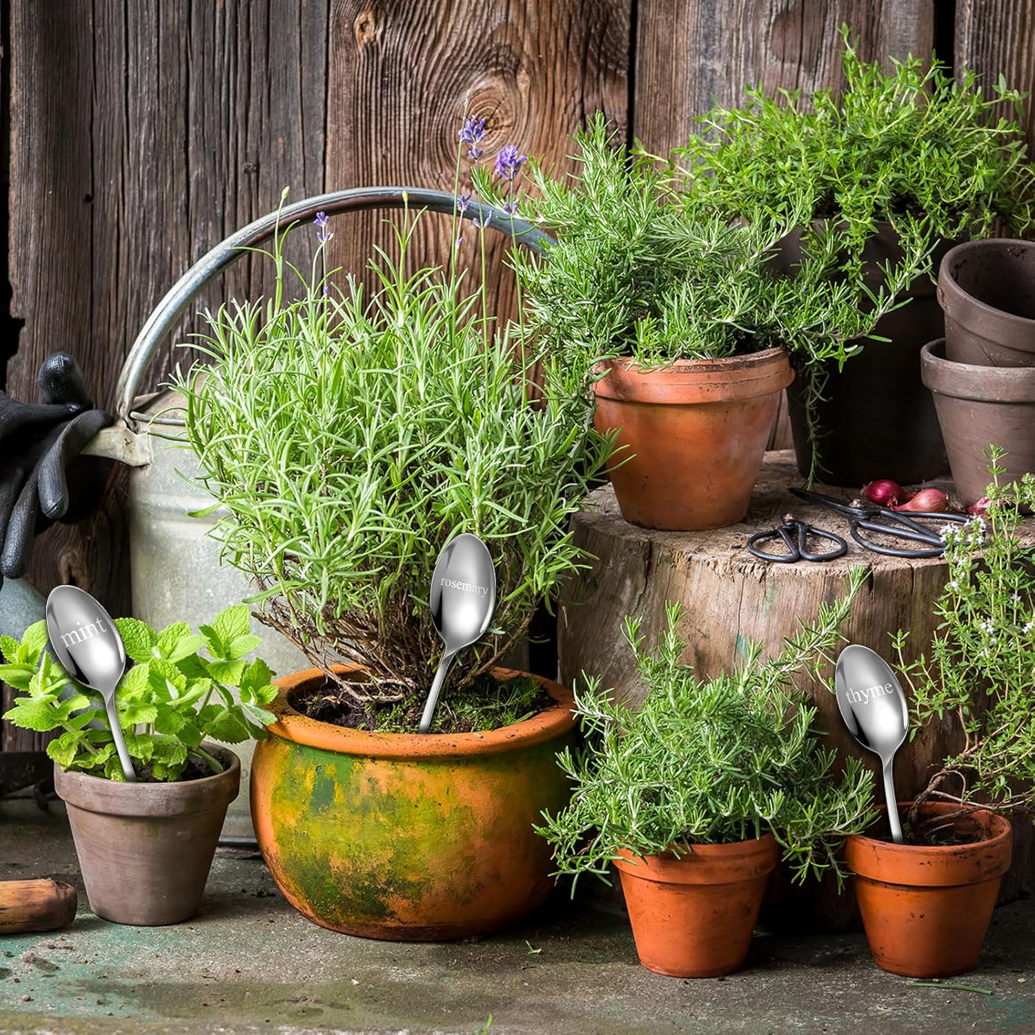 Bucherry 12 Pcs Metal Plant Label Signs, Spoon Shape Planted Herb Markers Garden Labels with Herb Names for Nursery Indoor Outdoor Garden Decoration, Stainless Steel, 12 Styles, 6.8" x 1.4"-VerdiqueGarden