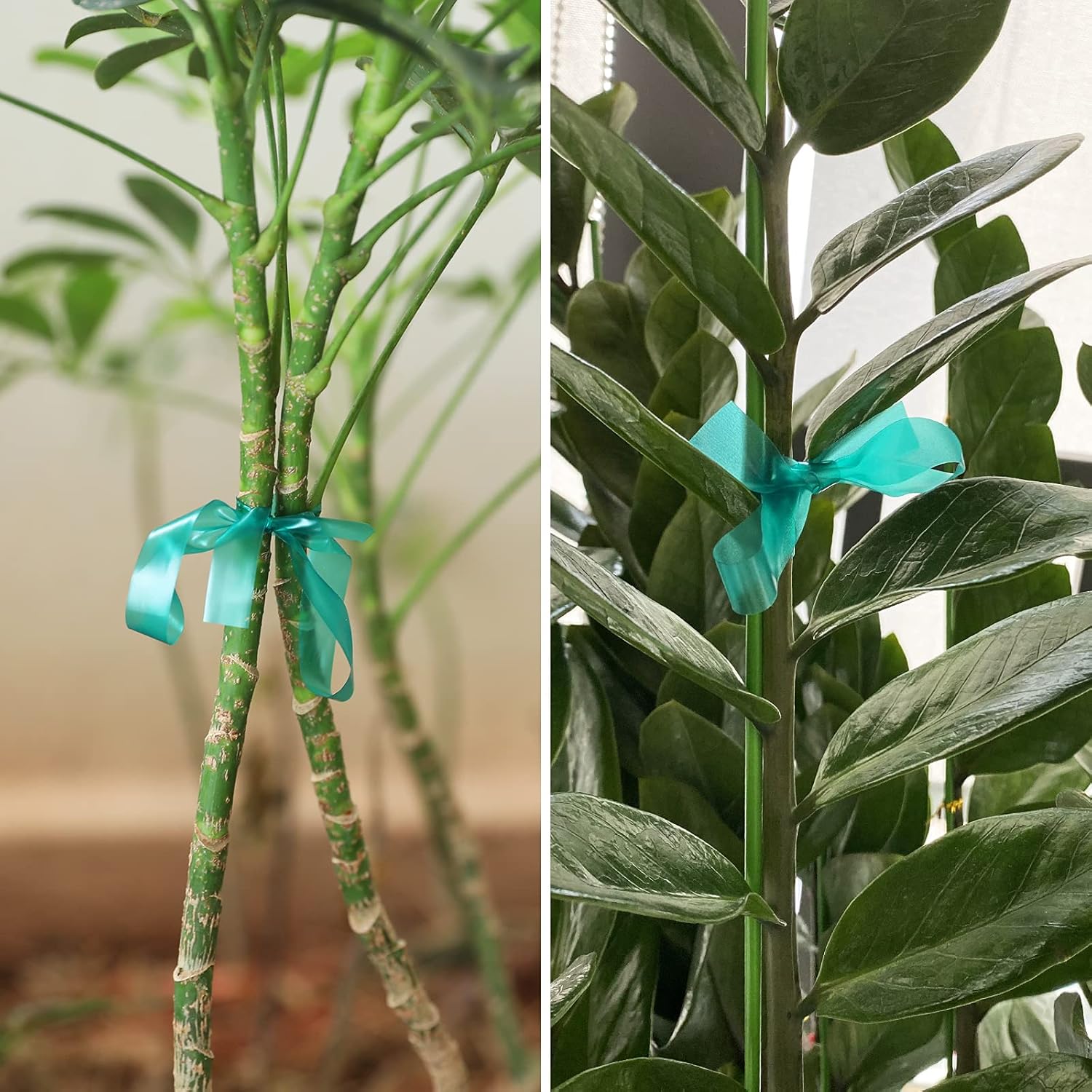 KINGLAKE GARDEN Stretch Tie Tape Roll-4 Rolls Total 600 Feet 1/2" Green Garden Tape,Plant Ribbons Plant Garden Tie for Branches, Climbing Planters, Flowers-VerdiqueGarden